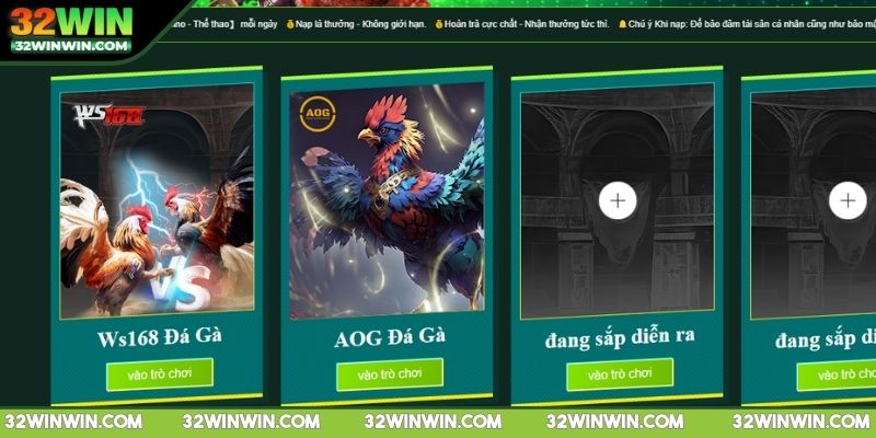 da-ga-32win-hoa-minh-vao-the-gioi